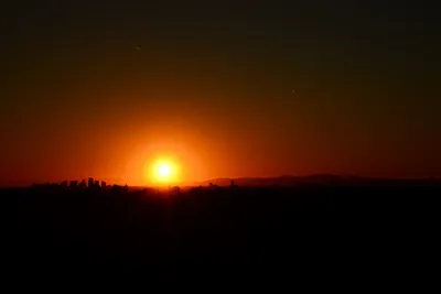 DSC_1467 (Large).JPG